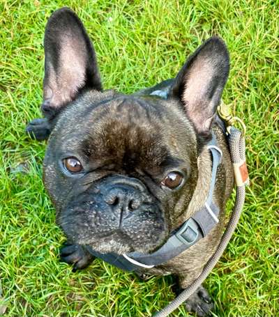 Fotochallange Nr. 57     PORTRÄT.   Beendet!!!!!!!!-Beitrag-Bild