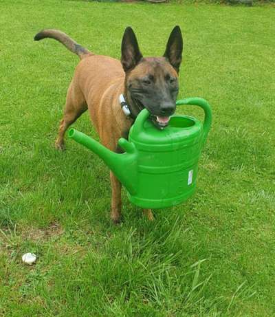 65. Handy Foto Challange                     "Ich kann nicht ohne..."-Beitrag-Bild