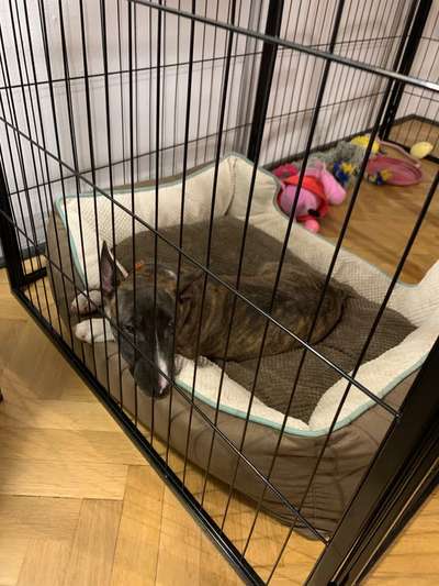 Kumo beruhigt sich nicht-Beitrag-Bild