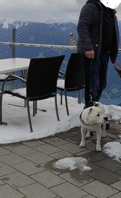 Fotochallenge Nr 107-Beitrag-Bild