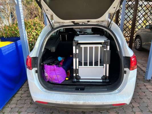 Alu-Transportbox oder Heckgitter für's Auto?-Beitrag-Bild