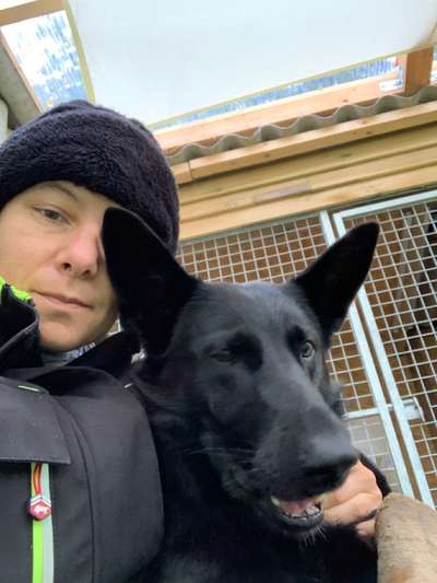 Die lustigsten Selfies mit Deinem Hund !-Beitrag-Bild