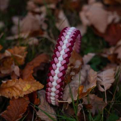 %{de_profession_title}-Paracordhalsband weinrot/rosa/weiß-Bild