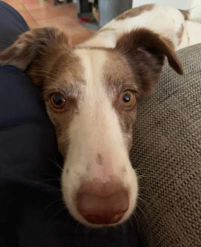 Fotochallange 84-Beitrag-Bild