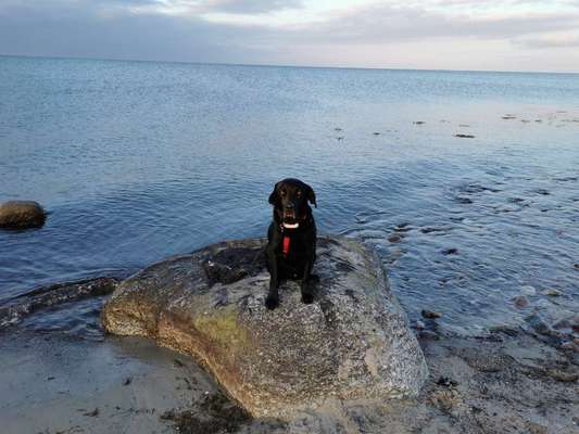 Eure Strandbilder :)-Beitrag-Bild