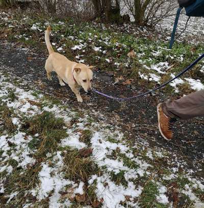 Das erste Foto-Beitrag-Bild