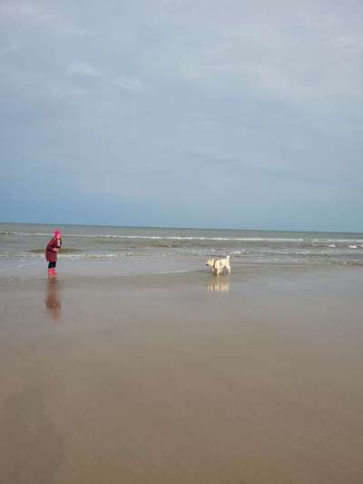 Ideensammlung, Urlaub mit Hund im Juli.-Beitrag-Bild