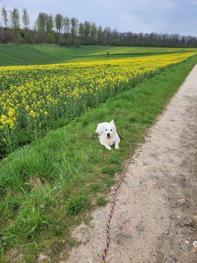 Fotowettbewerb Natur-Beitrag-Bild