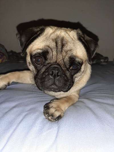 Zeigt eure Portraits-Beitrag-Bild