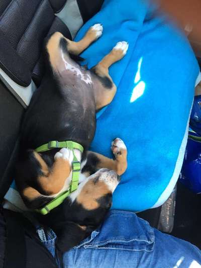 Unser Nachwuchs-Beitrag-Bild