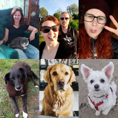 Hundetreffen-Freunde finden für Hund und Mensch-Bild