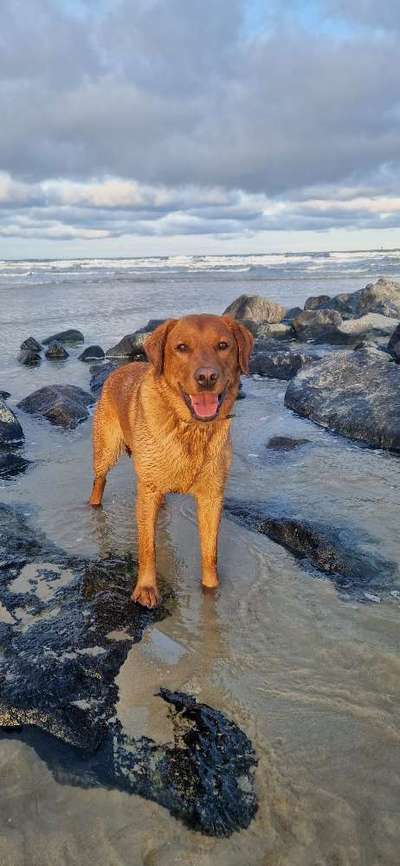 10. Farben Foto-Challenge ---- Blau-Beitrag-Bild