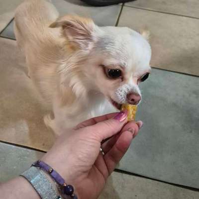 Gekochtes-Beitrag-Bild