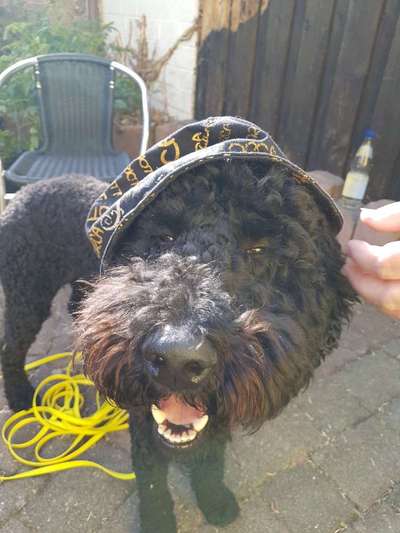 Fotowettbewerb zum Thema "Sonne"-Beitrag-Bild