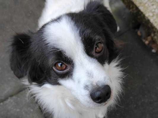 Fotochallange Nr. 57     PORTRÄT.   Beendet!!!!!!!!-Beitrag-Bild