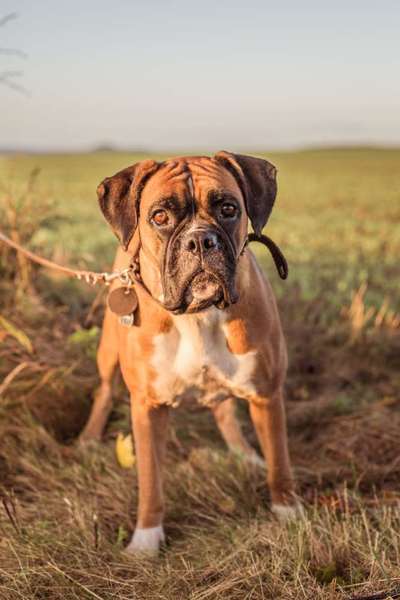 Fotochallange Nr. 57     PORTRÄT.   Beendet!!!!!!!!-Beitrag-Bild