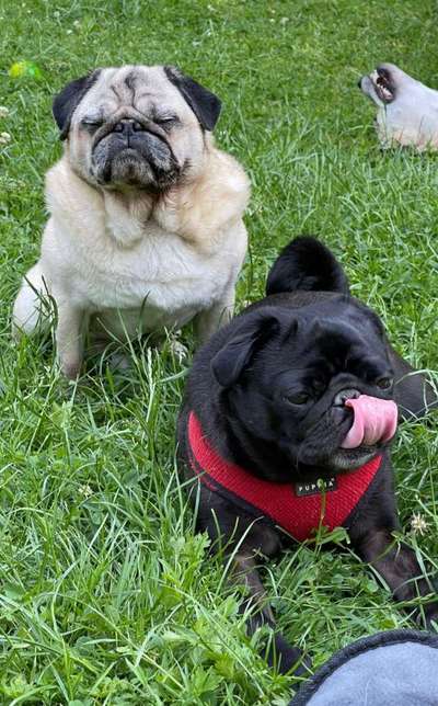 Zeigt eure schönsten Sommerbilder-Beitrag-Bild