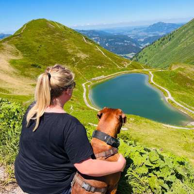 Hundetreffen-Morgenrunde unter der Woche-Profilbild