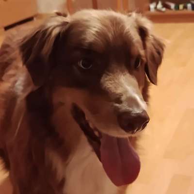 Kerstin's Profilbild