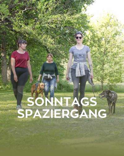 Giftköder-Sonntagsspaziergang-Bild