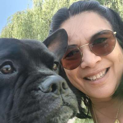 Hundetreffen-Gassirunde und Spielbuddy