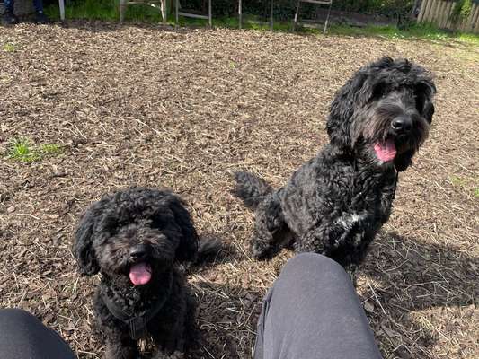 Fotochallenge 130-Beitrag-Bild