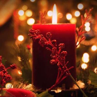 Hundetreffen-Hunde Weihnachtsmarkt in Wiesloch 🎄-Bild