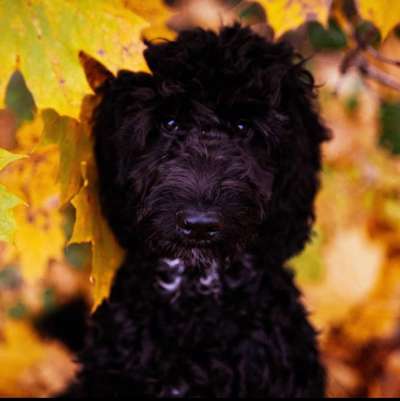 Fotowettbewerb zum Thema "Sonne"-Beitrag-Bild