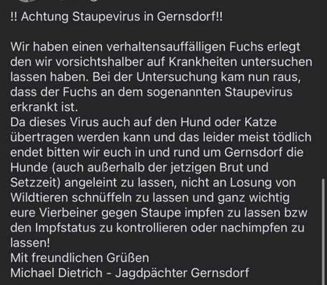 Giftköder-Staupevirus in Gernsdorf-Bild