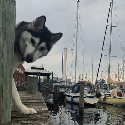 Lieblingsbild-Beitrag-Bild