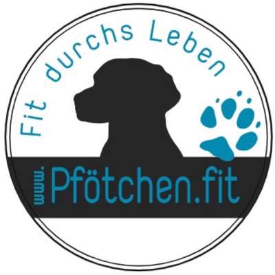 Medizinische Dienstleistungen-Pfötchen.fit - Hundephysio Haupt-Bild