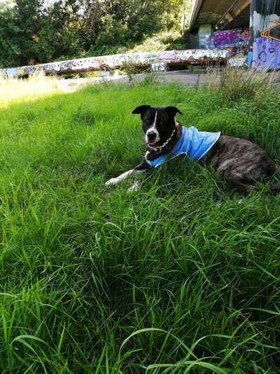 Pullis, Jacken, Hütte und alles sonstiges-Beitrag-Bild