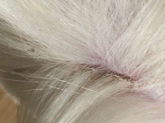 Was kann ich tun?-Beitrag-Bild