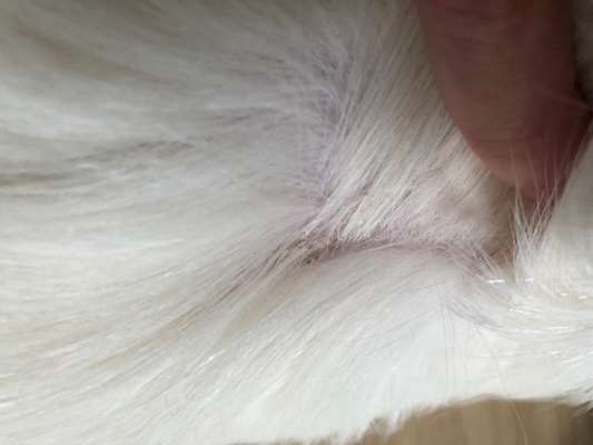 Was kann ich tun?-Beitrag-Bild