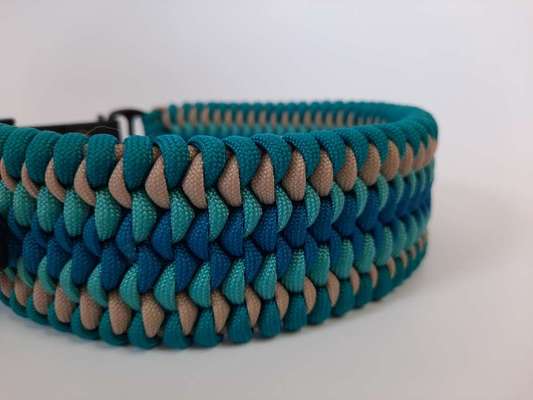 Breites, gepolstertes Halsband gesucht-Beitrag-Bild