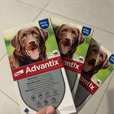 Advantix Spot-On Pipetten! Originalverpackt-Beitrag-Bild
