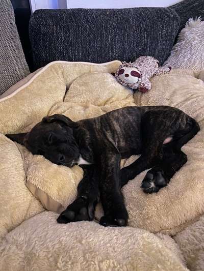 Foto Challenge Nr. 134-Beitrag-Bild