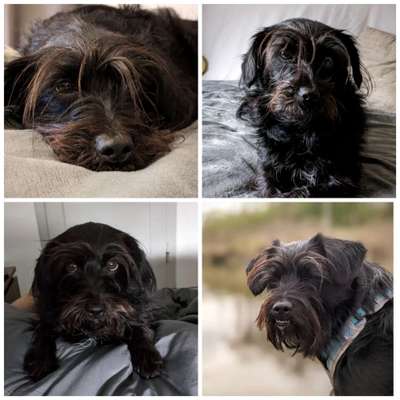 23. Collagen-Challenge: Portraits-Beitrag-Bild