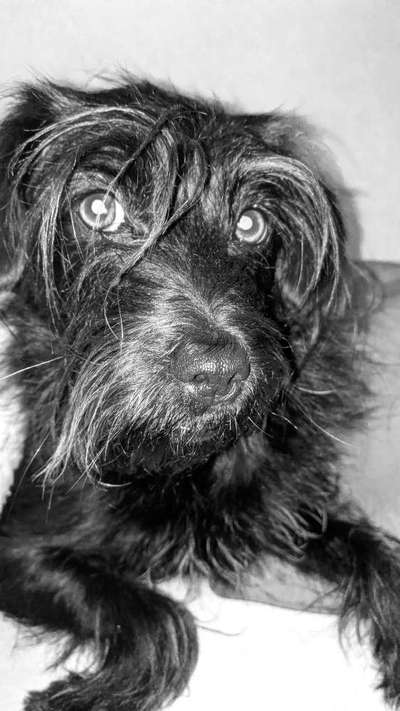 Foto-Challenge 76: Foto in Schwarz-Weiss-Beitrag-Bild