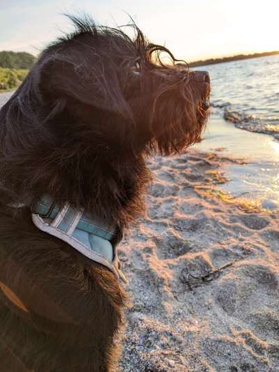 Fotochallenge Nr.100 Urlaubsimpressionen-Beitrag-Bild