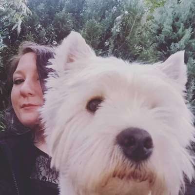 Hundetreffen-Spielrunde auf der Hundewiese-Profilbild