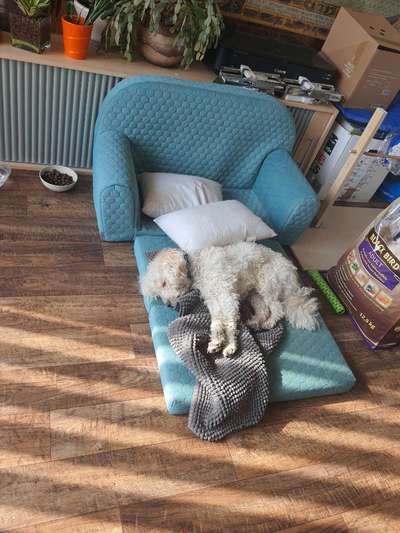 32. Farben Challenge  ** ( BUNTE ) STREIFEN **-Beitrag-Bild