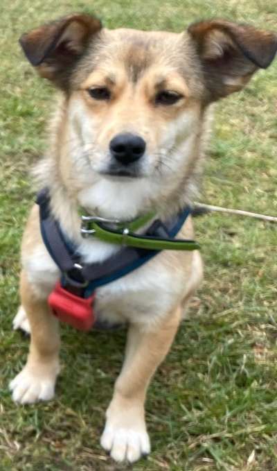 Eure Erfahrung mit GPS-Trackern-Beitrag-Bild