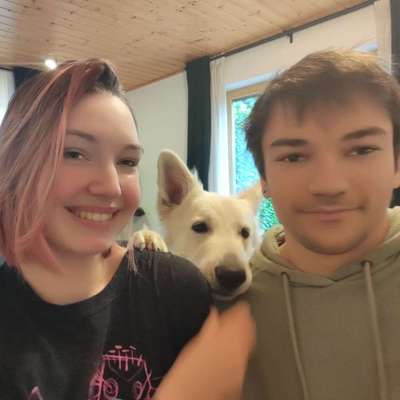 Hundetreffen-Gemeinsames Training-Profilbild