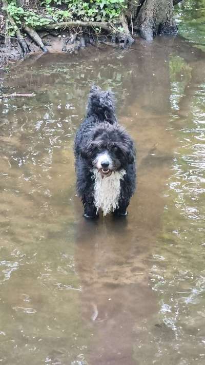 Lieblingsbild :D-Beitrag-Bild