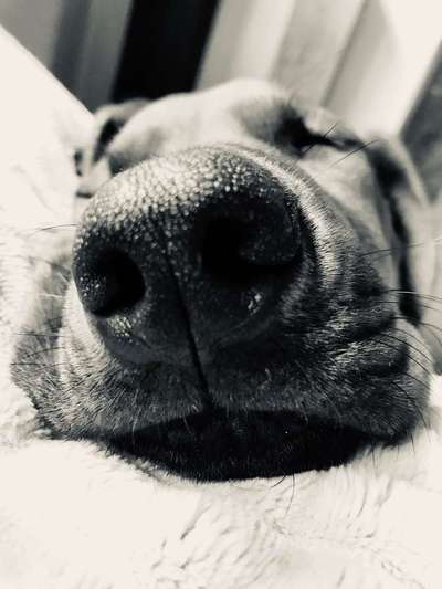 Lieblings Schnappschuss?-Beitrag-Bild