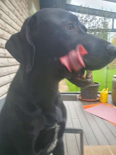 Lieblingsbild :D-Beitrag-Bild