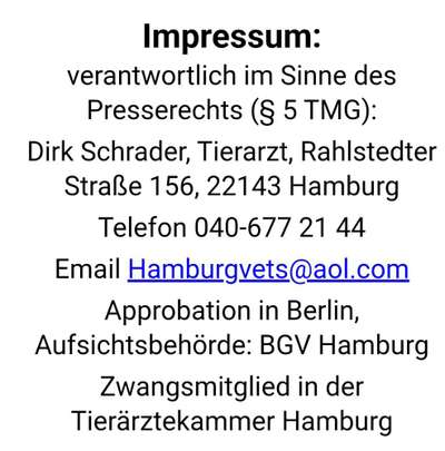 Dringende Hilfe: Hund isst nichts/Apathie-Beitrag-Bild