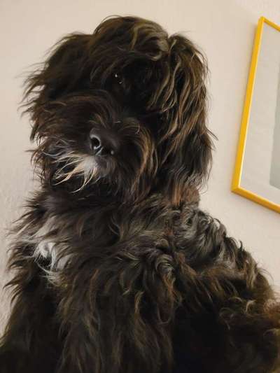 Fotochallenge Nr. 67: Euer Lieblingsbild-Beitrag-Bild