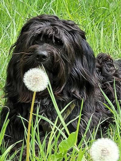 Fotowettbewerb Natur-Beitrag-Bild